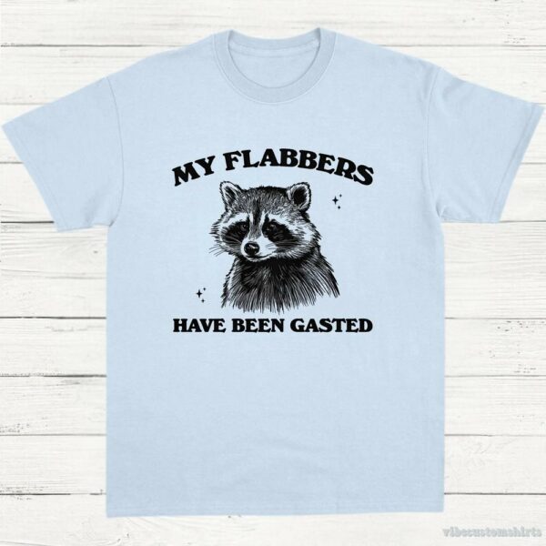 My Flabbers Have Been Gasted Raccoon Meme Shirt