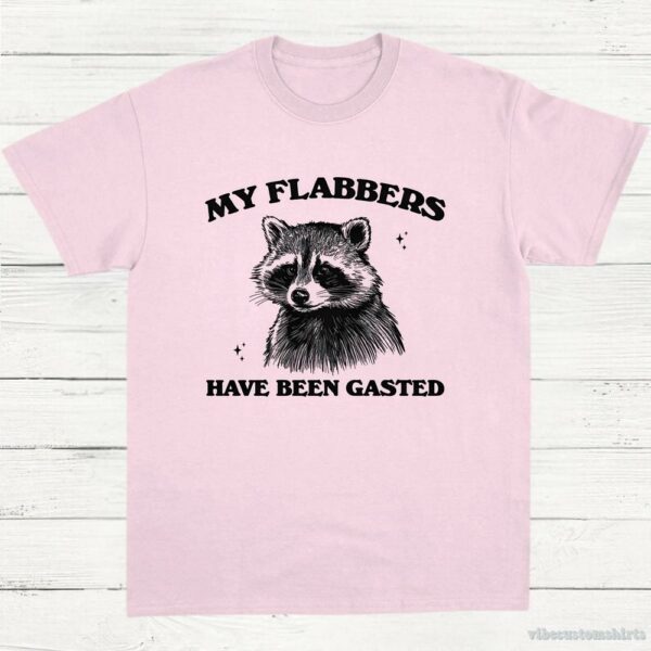 My Flabbers Have Been Gasted Raccoon Meme Shirt