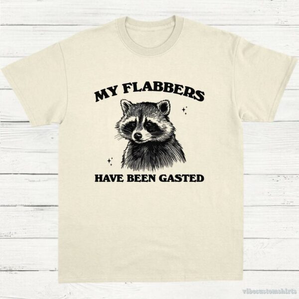My Flabbers Have Been Gasted Raccoon Meme Shirt