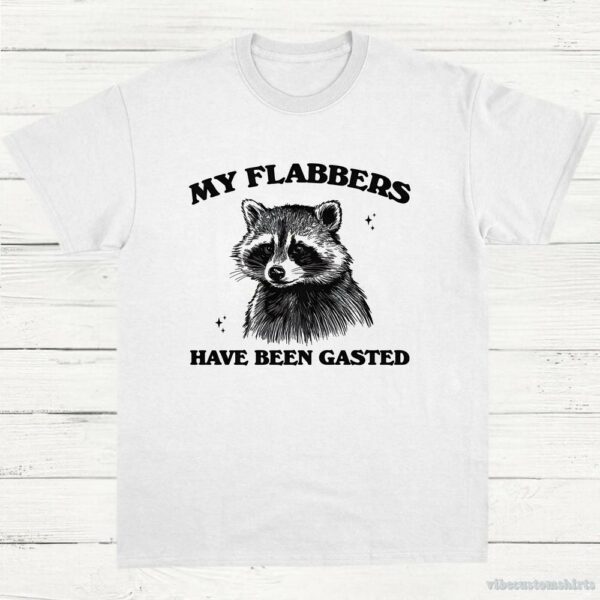 My Flabbers Have Been Gasted Raccoon Meme Shirt
